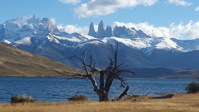 Les Croods arrivent au Torres del Paine Publié le 23 mars 2018 par Alain et Stéphanie(vidéo32) 20180319_173531-copy