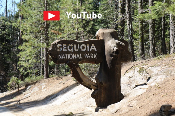 Les Croods enjoy Yosemite & Sequoia Park  Publié le 26 mai 2019 par Alain et Stéphanie Aimg_1671video