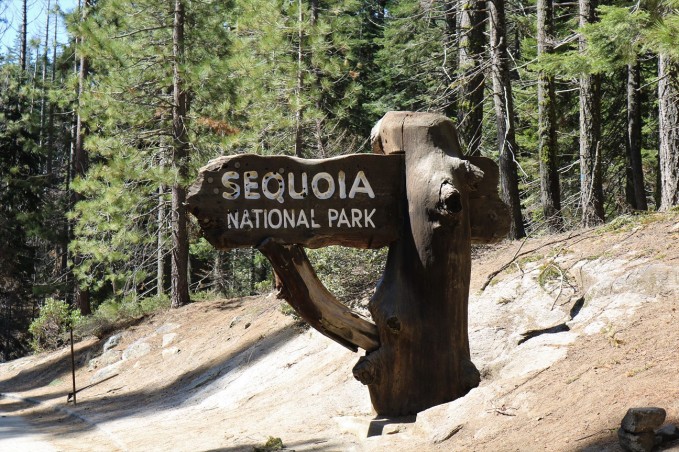 Les Croods enjoy Yosemite & Sequoia Park  Publié le 26 mai 2019 par Alain et Stéphanie Img_1671-copy